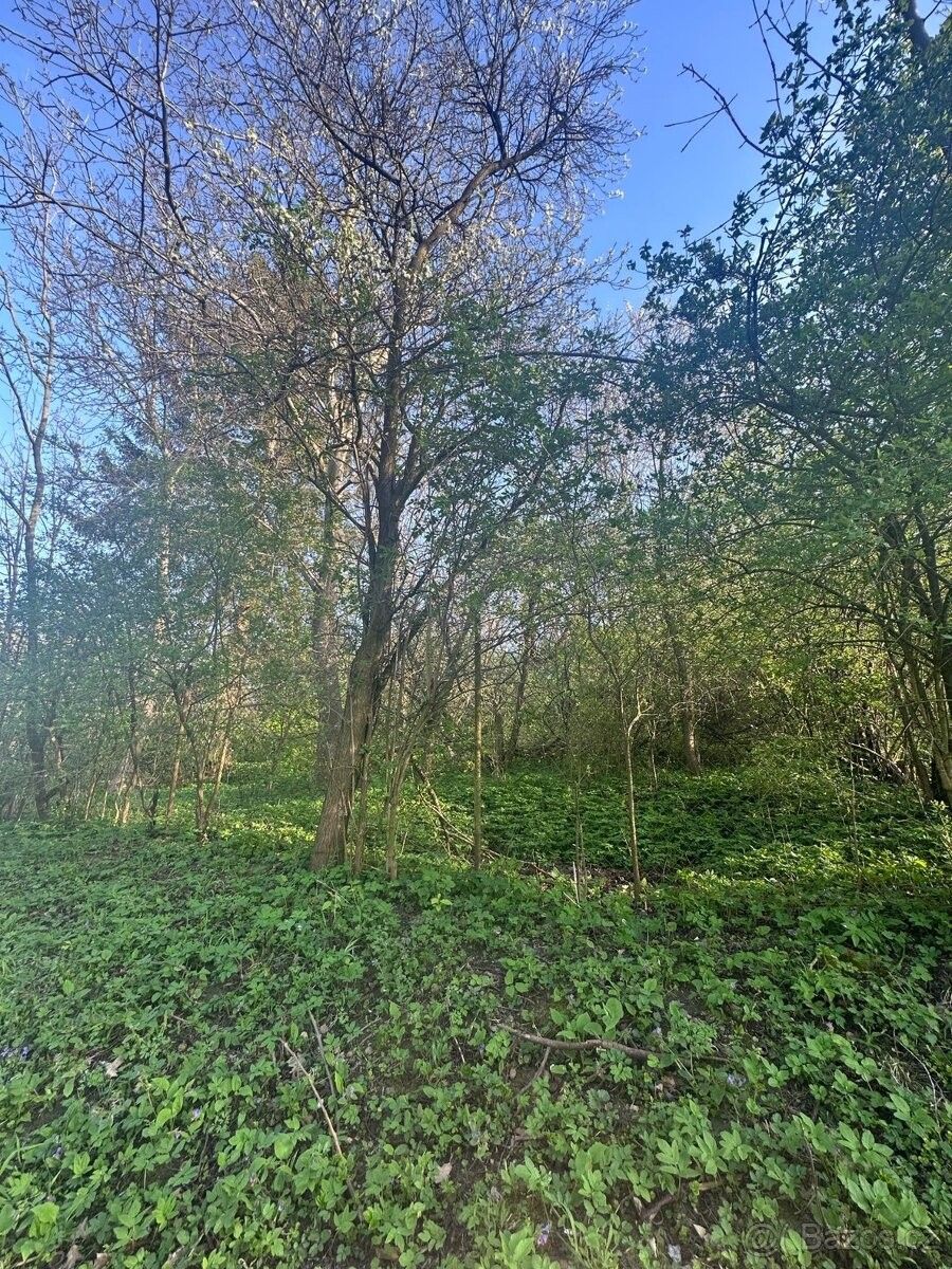 Prodej zahrada - Bohdalice, 683 41