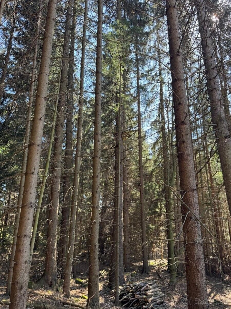 Pozemky pro bydlení, Strmilov, 378 53