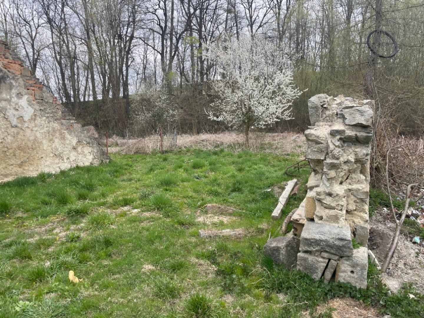 Rodinné domy, Kobylá nad Vidnavkou, 284 m² - 2