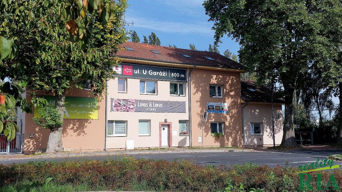 Ostatní, Poděbrady, 290 01