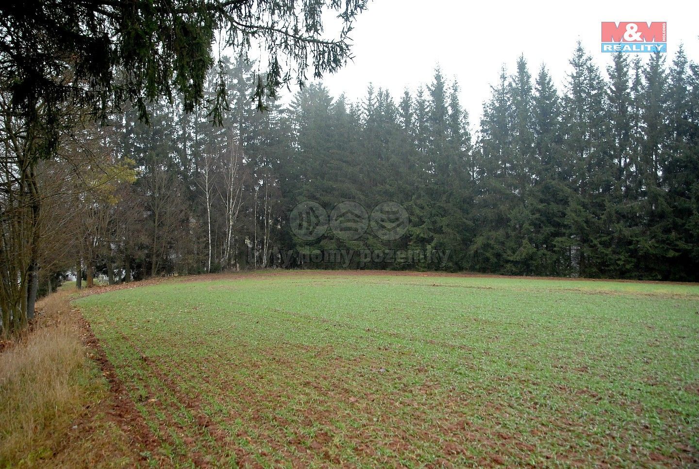 Zemědělské pozemky, Lomnice nad Popelkou - Želechy, okres Semily - 2