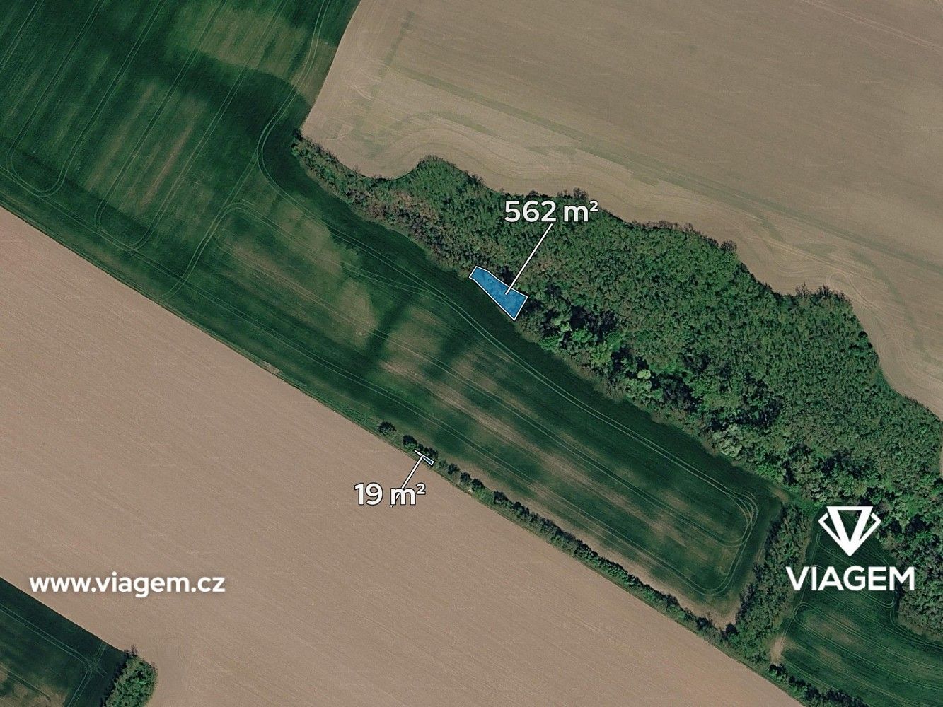 Prodej les - Ivančice, okres Brno-venkov, Jihomoravský kraj - 2