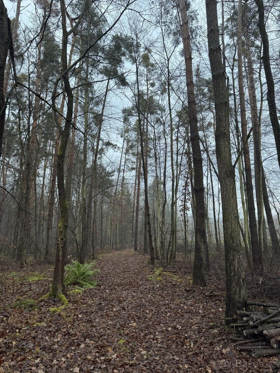 Pozemky pro bydlení, Přelouč, 535 01