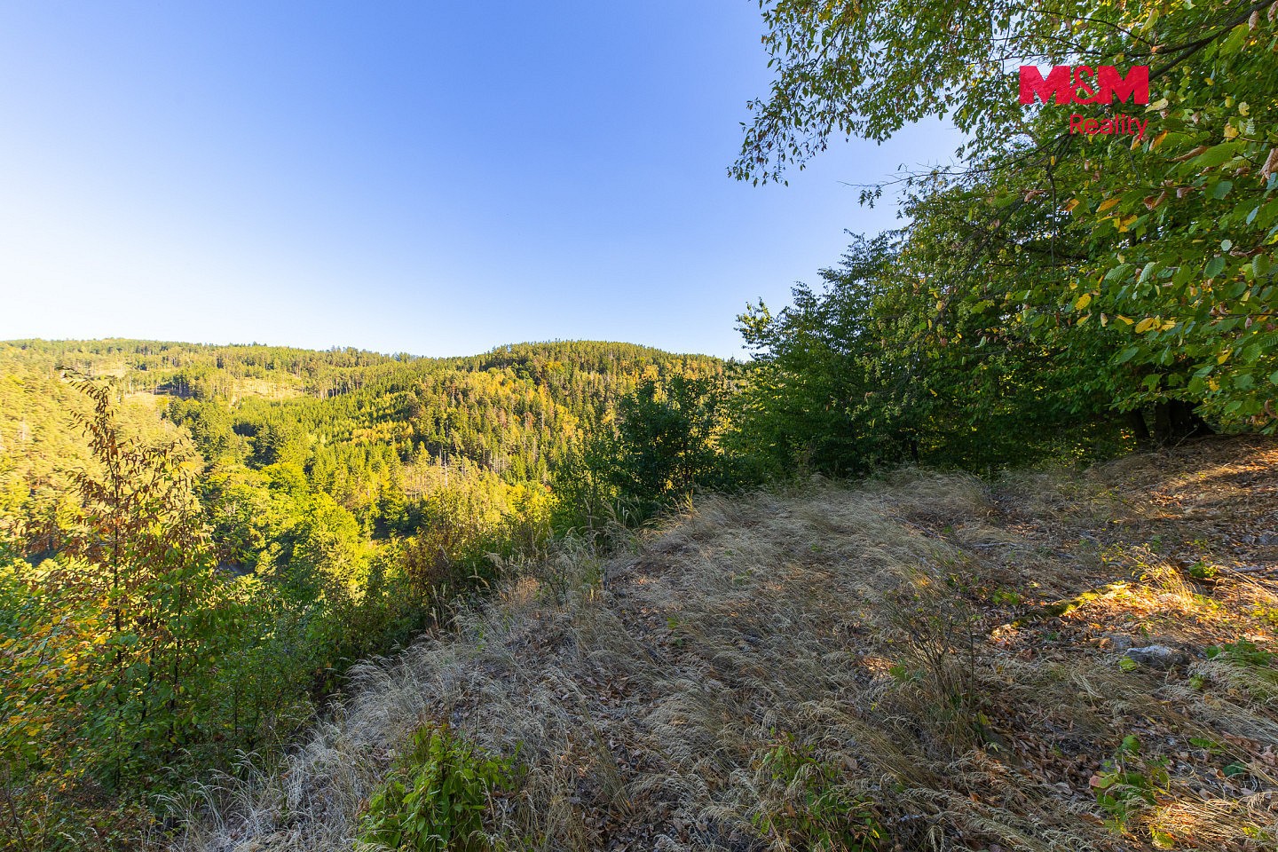 Les · Lomnice, okres Brno-venkov - 4