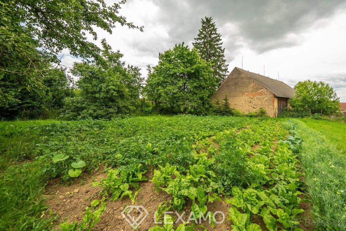 Prodej pozemek pro bydlení - Lesonice, 675 44