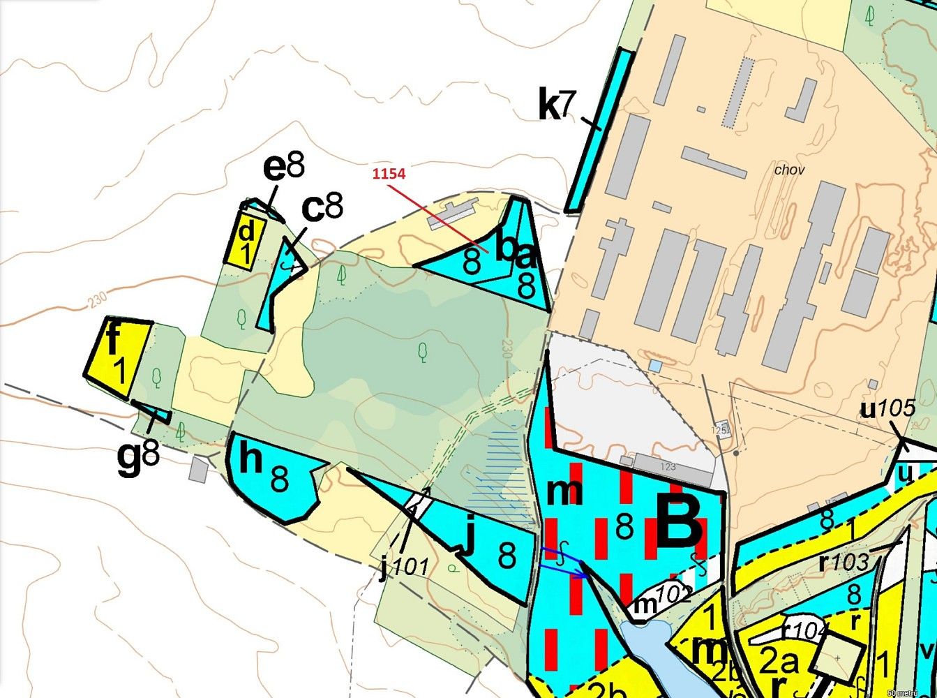 Les · Čejkovice, okres Znojmo, Jihomoravský kraj - 3