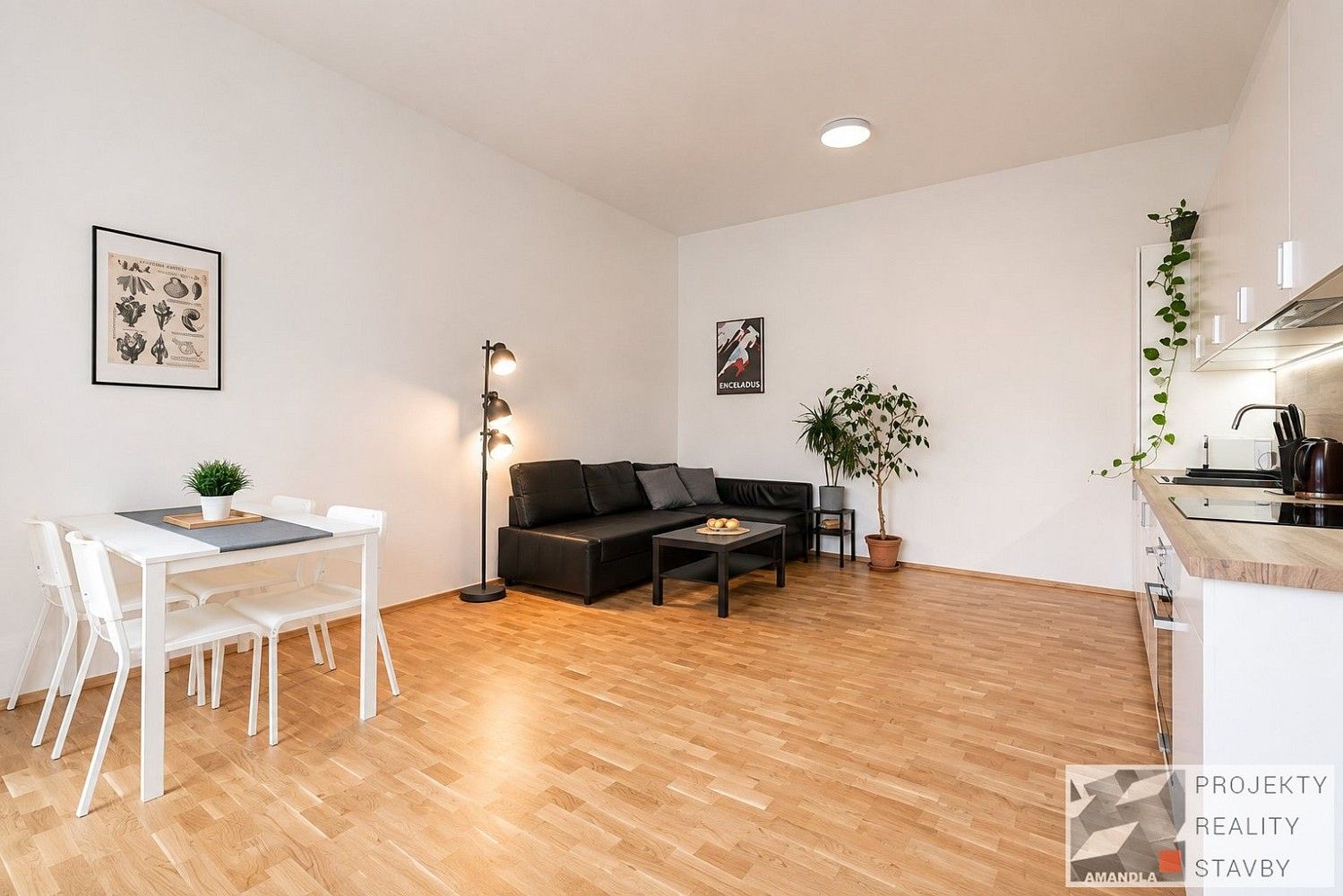Byt 2+kk · 49 m² · Brno - Veveří, okres Brno-město, Jihomoravský kraj - 3