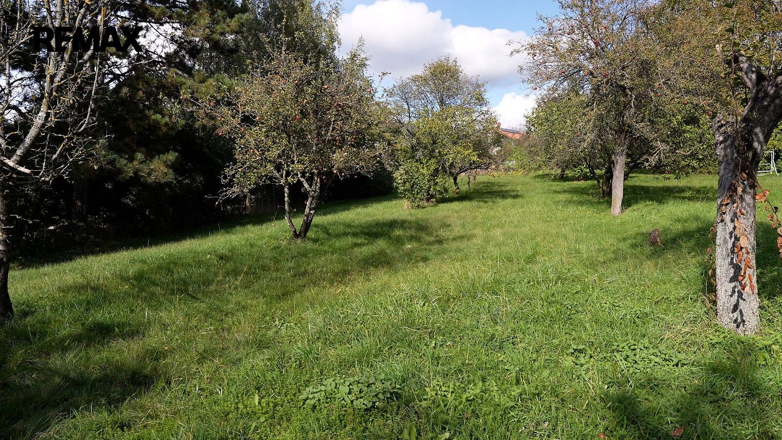 Prodej pozemek pro bydlení - Babice nad Svitavou, okres Brno-venkov, Jihomoravský kraj - 5