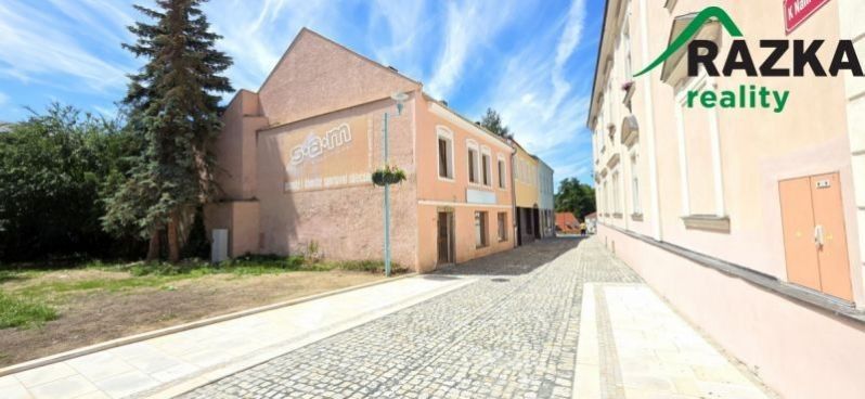 Obchodní prostory, K Náměstí, Tachov, 330 m² - 1