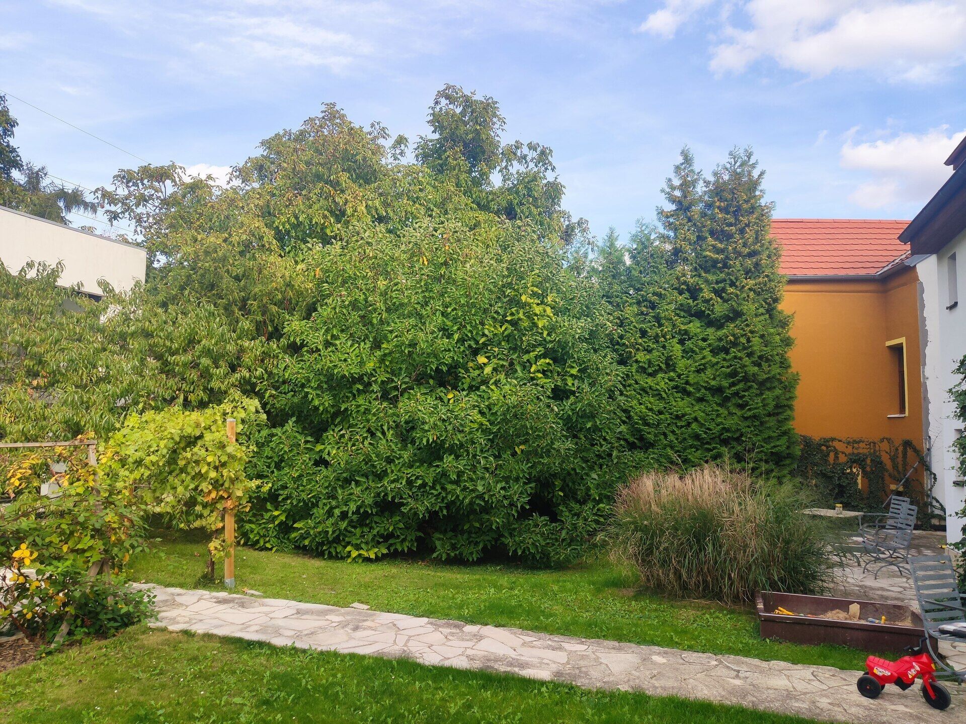 Prodej zahrada - Nad motolskou nemocnicí, Břevnov, Praha, Česko, 71 m²