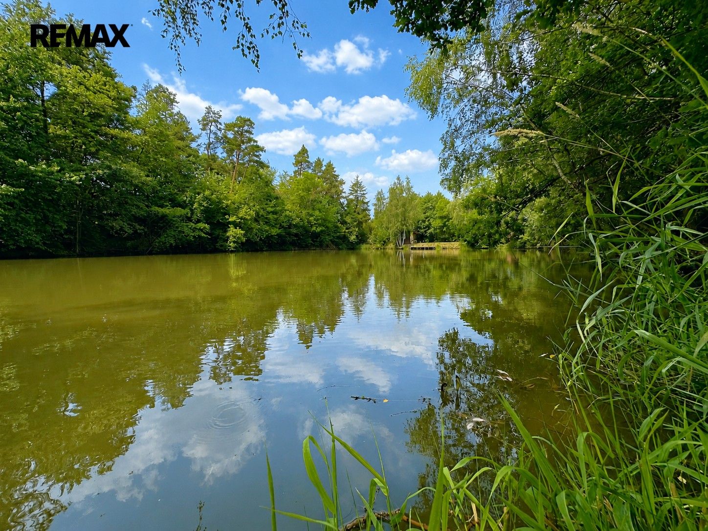 Prodej rybník - Dačice, 25 771 m² - 5