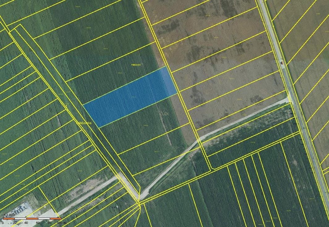 Zemědělské pozemky, Velké Bílovice