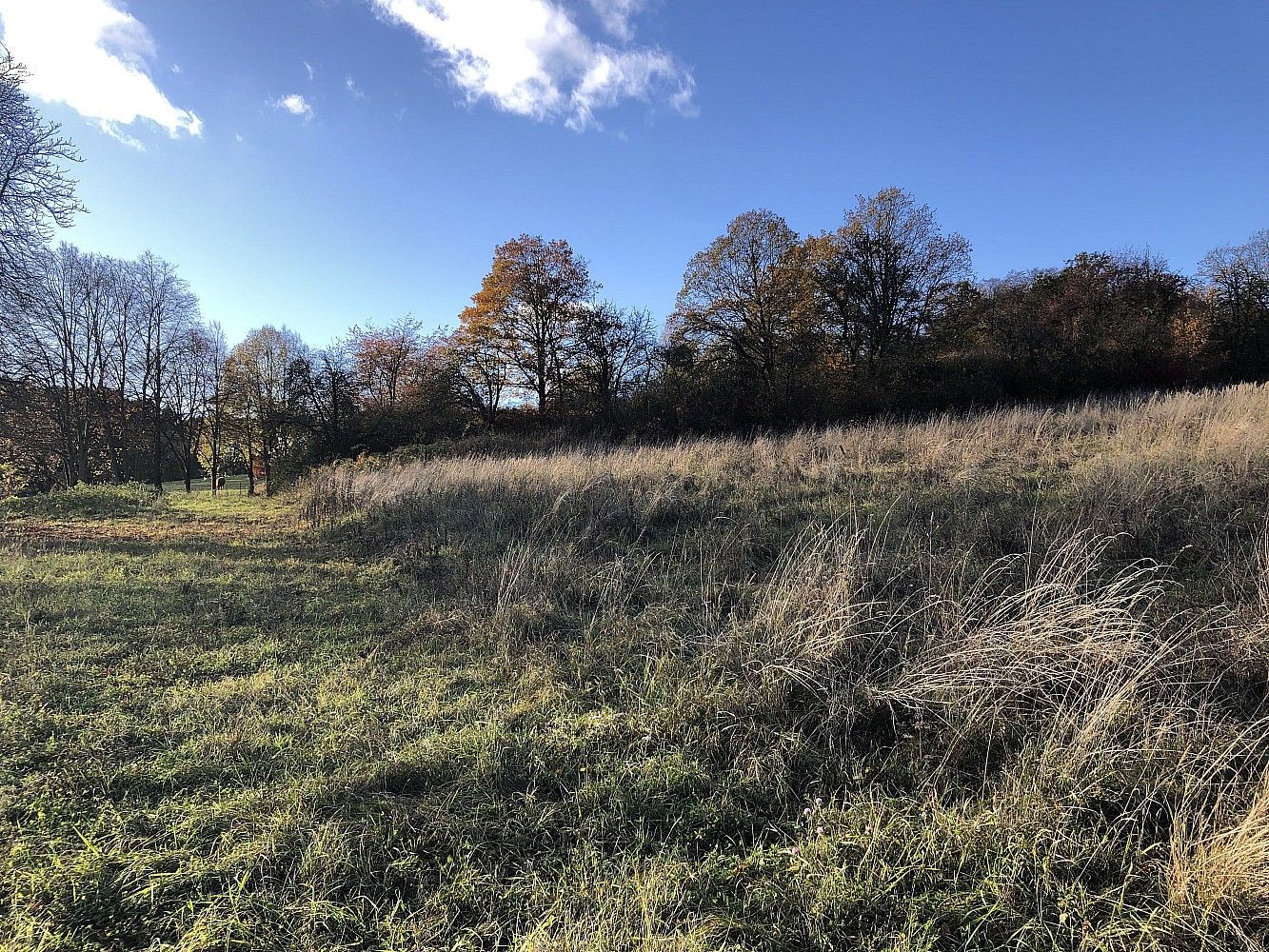 Prodej pozemek pro bydlení - Krňany - Třebsín, okres Benešov, Středočeský kraj - 5