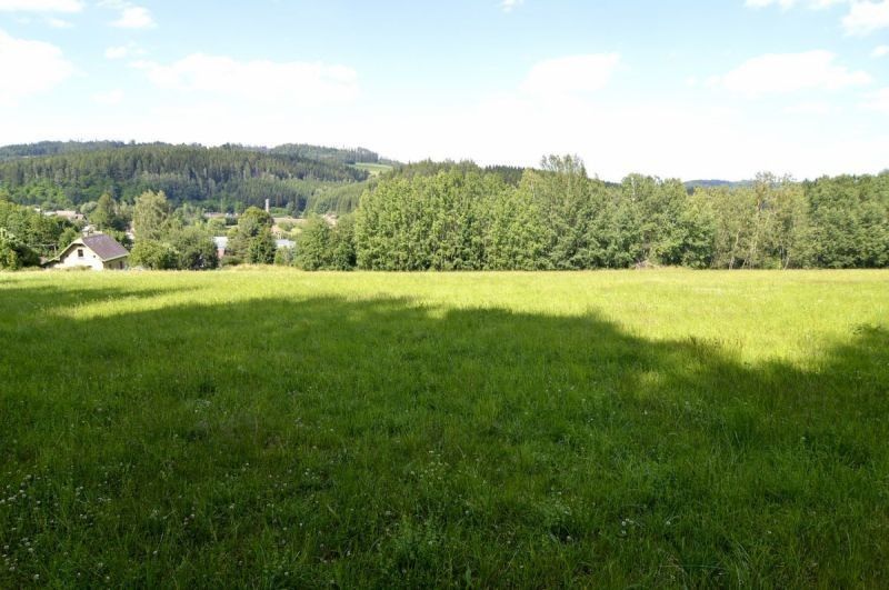 Prodej zemědělský pozemek - Stará Paka