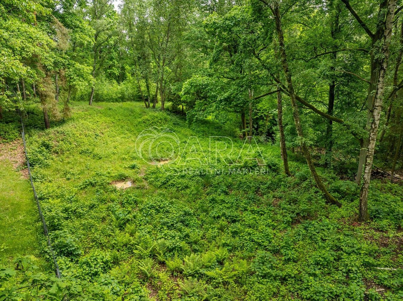 Pozemek pro bydlení, 5 519 m²