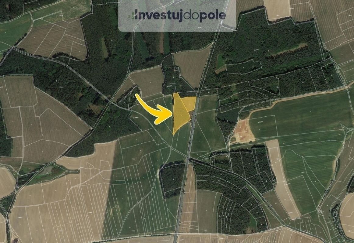 Prodej les - Luženičky, 15 277 m²