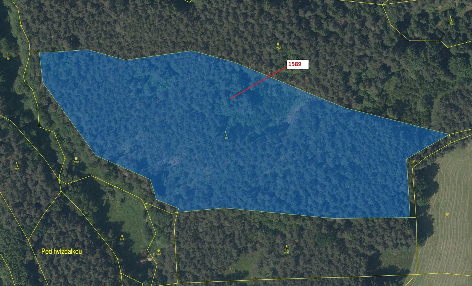 Prodej les - Slavče, okres České Budějovice, Jihočeský kraj - 2