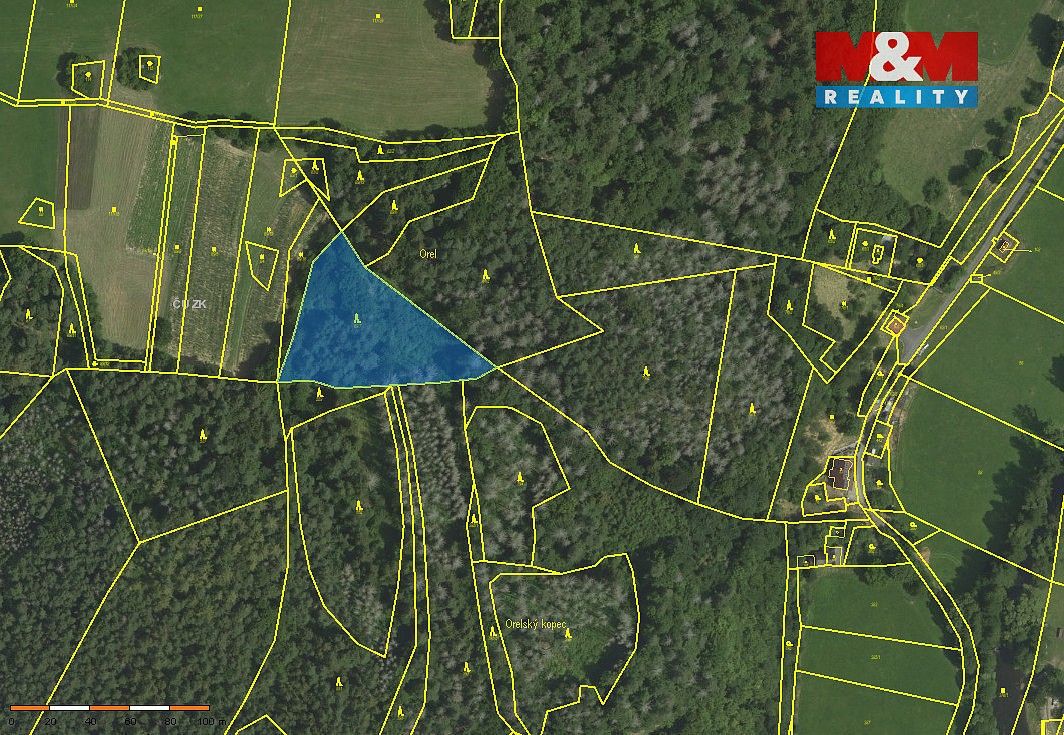 Lesy, Koroužné, okres Žďár nad Sázavou, Kraj Vysočina - 2