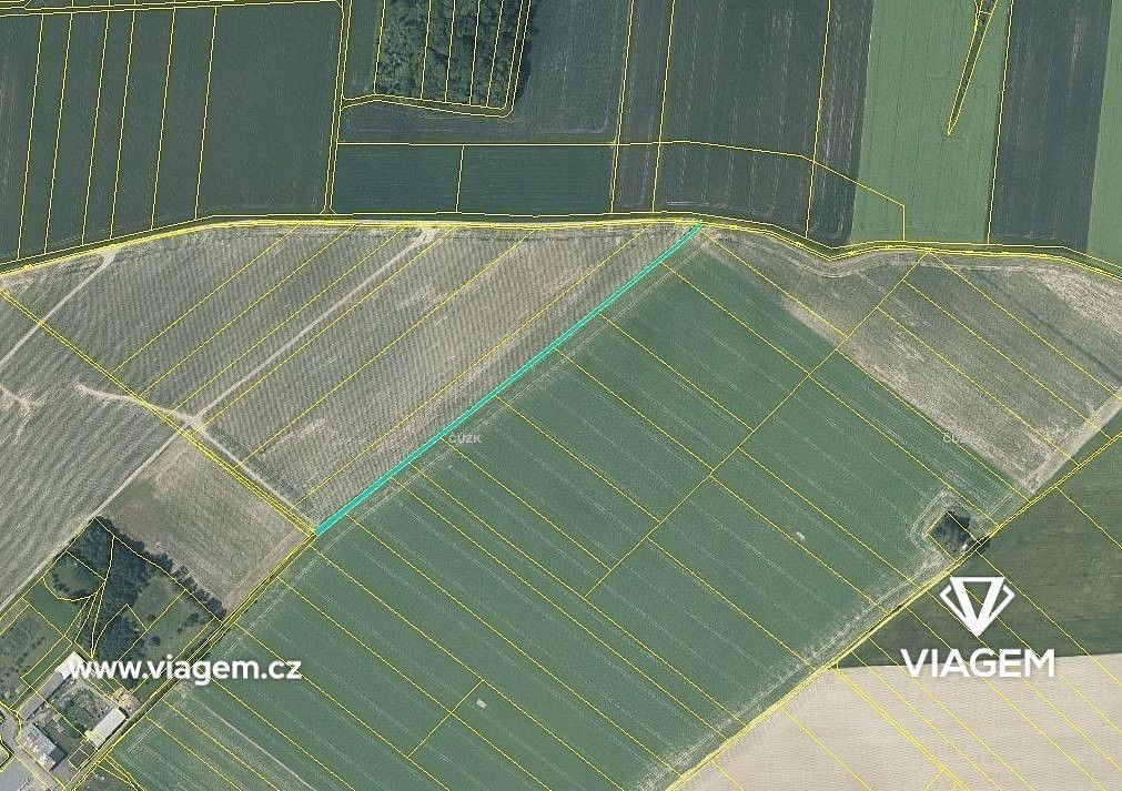 Zemědělský pozemek · Dolní Životice, okres Opava, Moravskoslezský kraj - 3