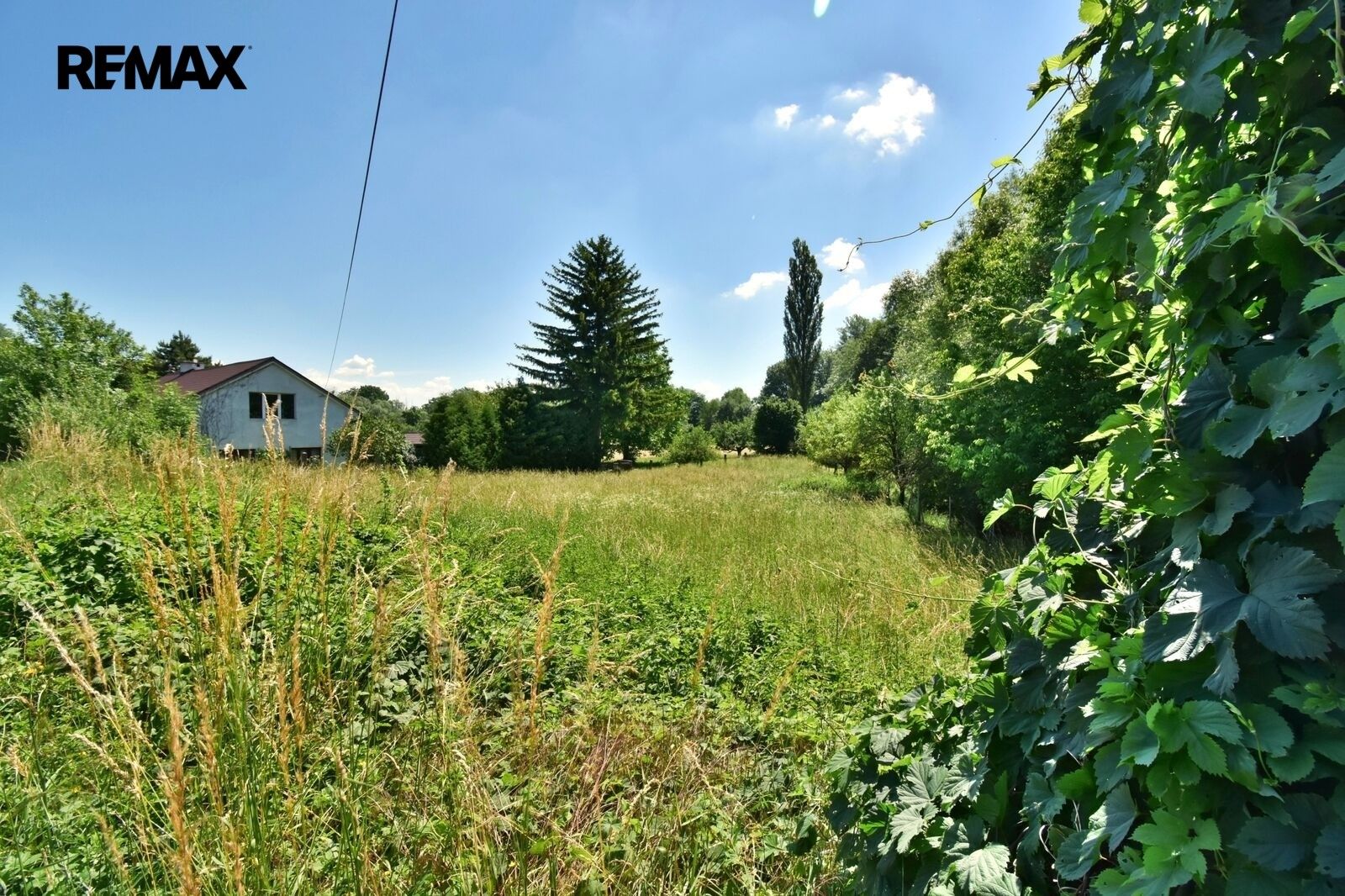 Louky, České Meziříčí, 1 214 m² - 2