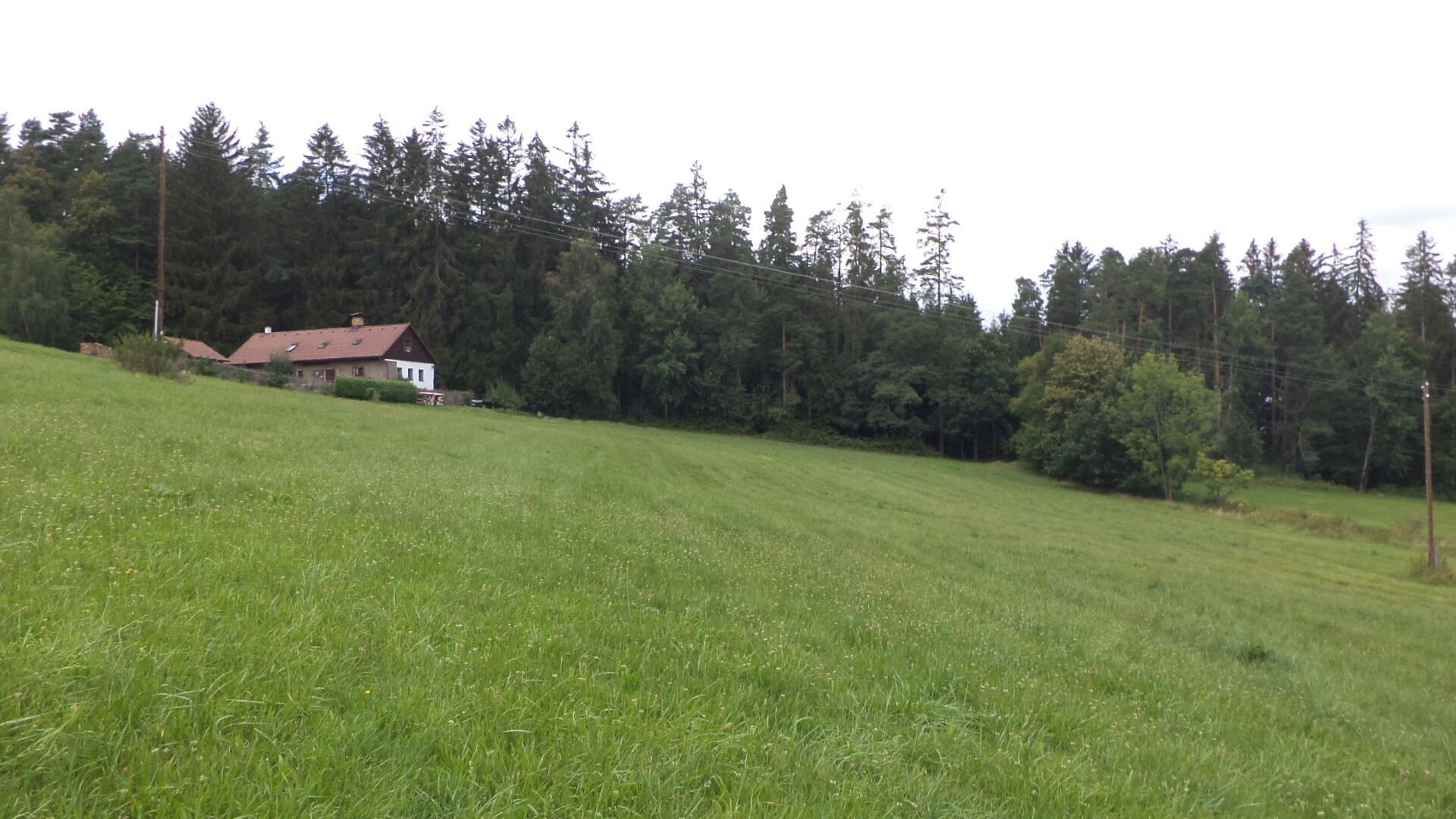 Pozemek · 5 614 m² · Holubov - 4
