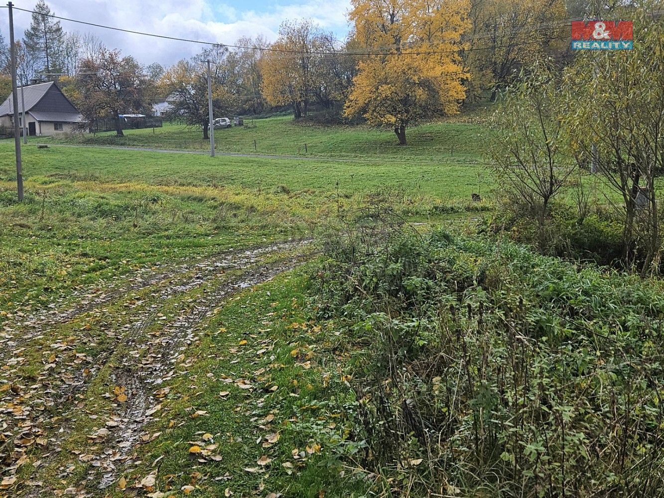 Louky, Hanušovice - Vysoké Žibřidovice, okres Šumperk, Olomoucký kraj - 1