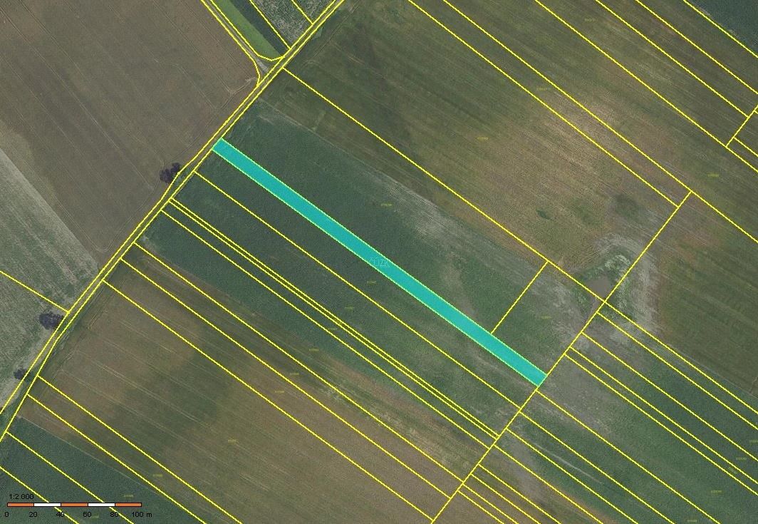 Prodej zemědělský pozemek - Velké Bílovice