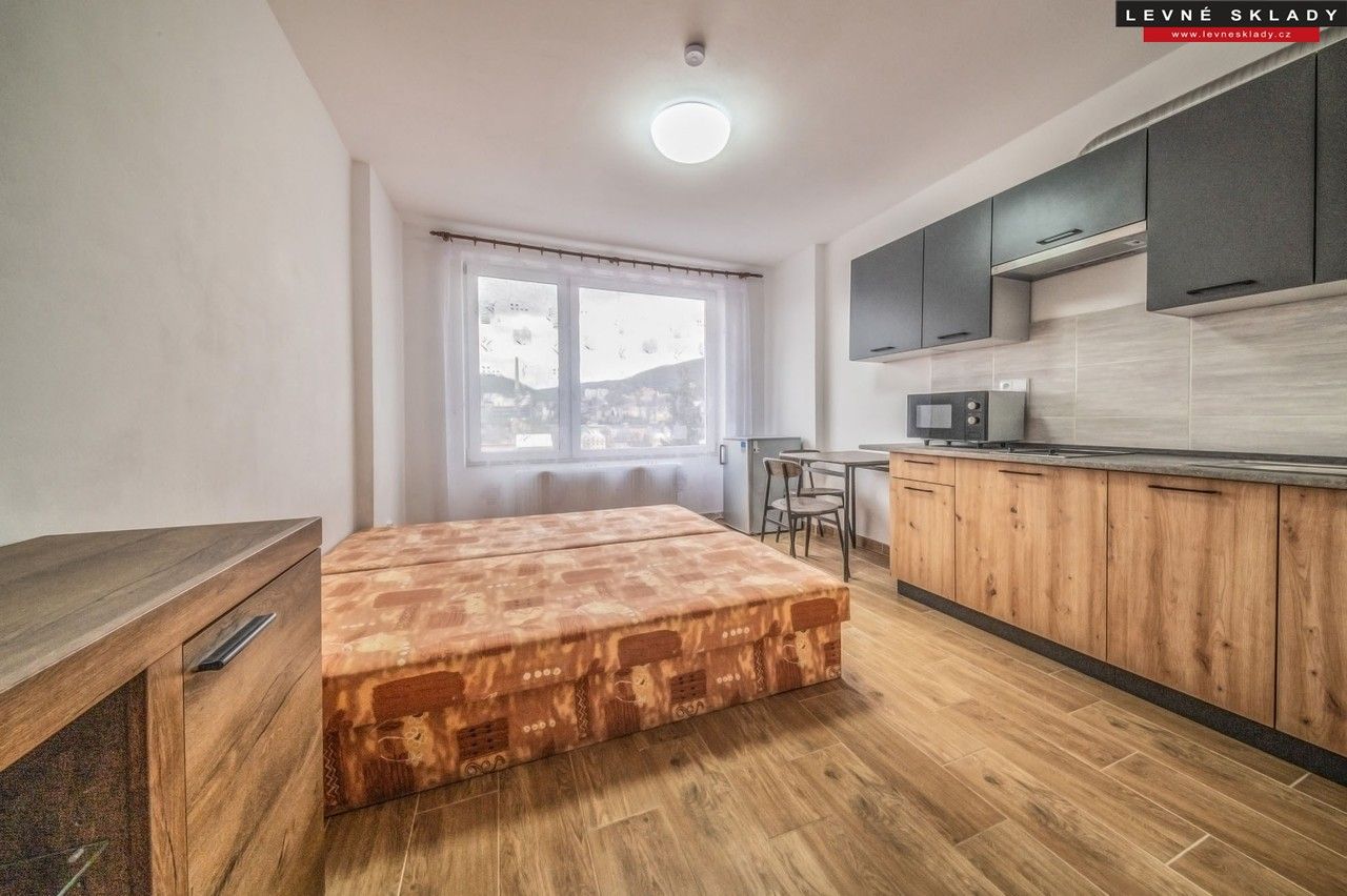 1+kk, Čajkovského, Ústí nad Labem, 25 m²