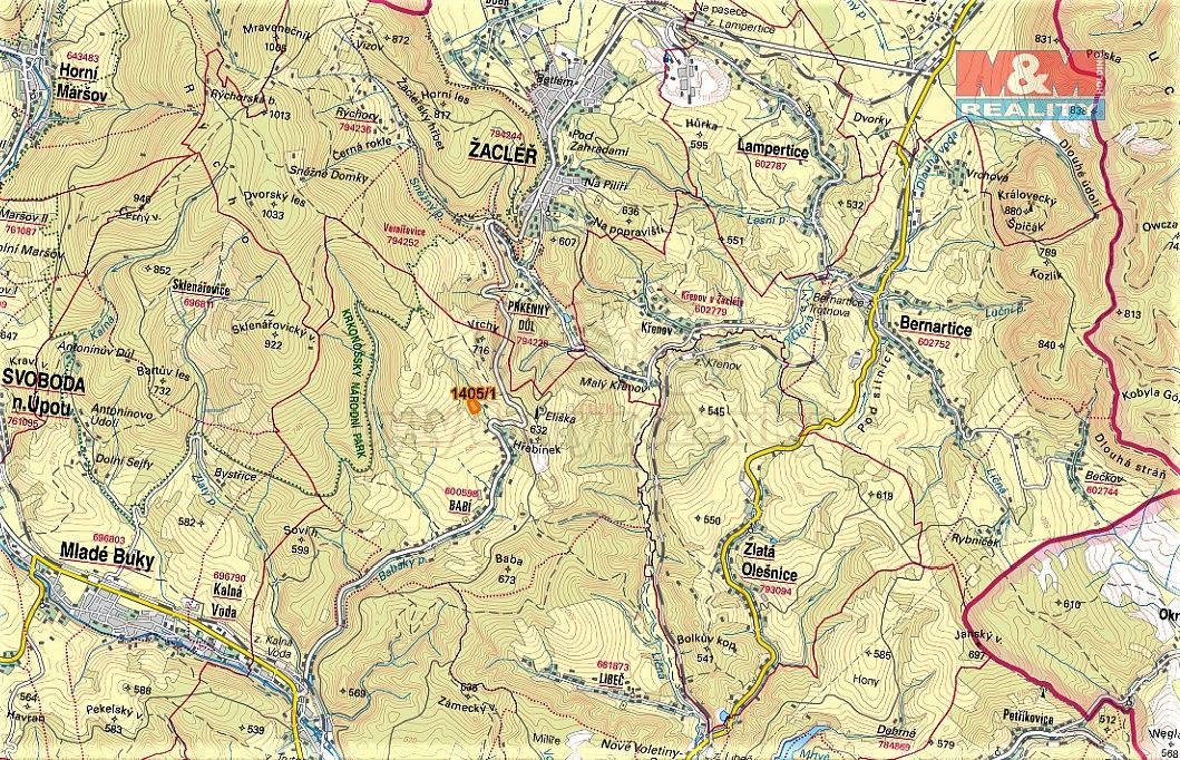 Les · Trutnov, Královéhradecký kraj - 3