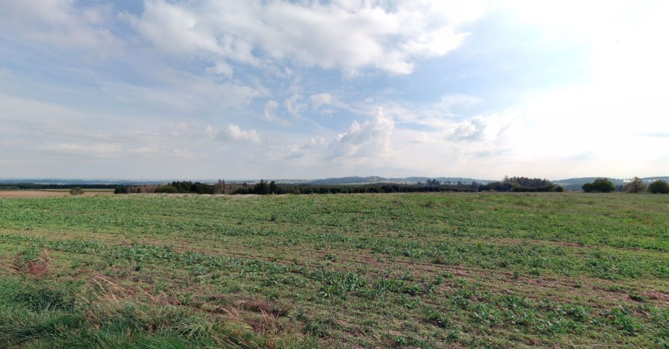 Prodej zemědělský pozemek - Březejc, 17 206 m²