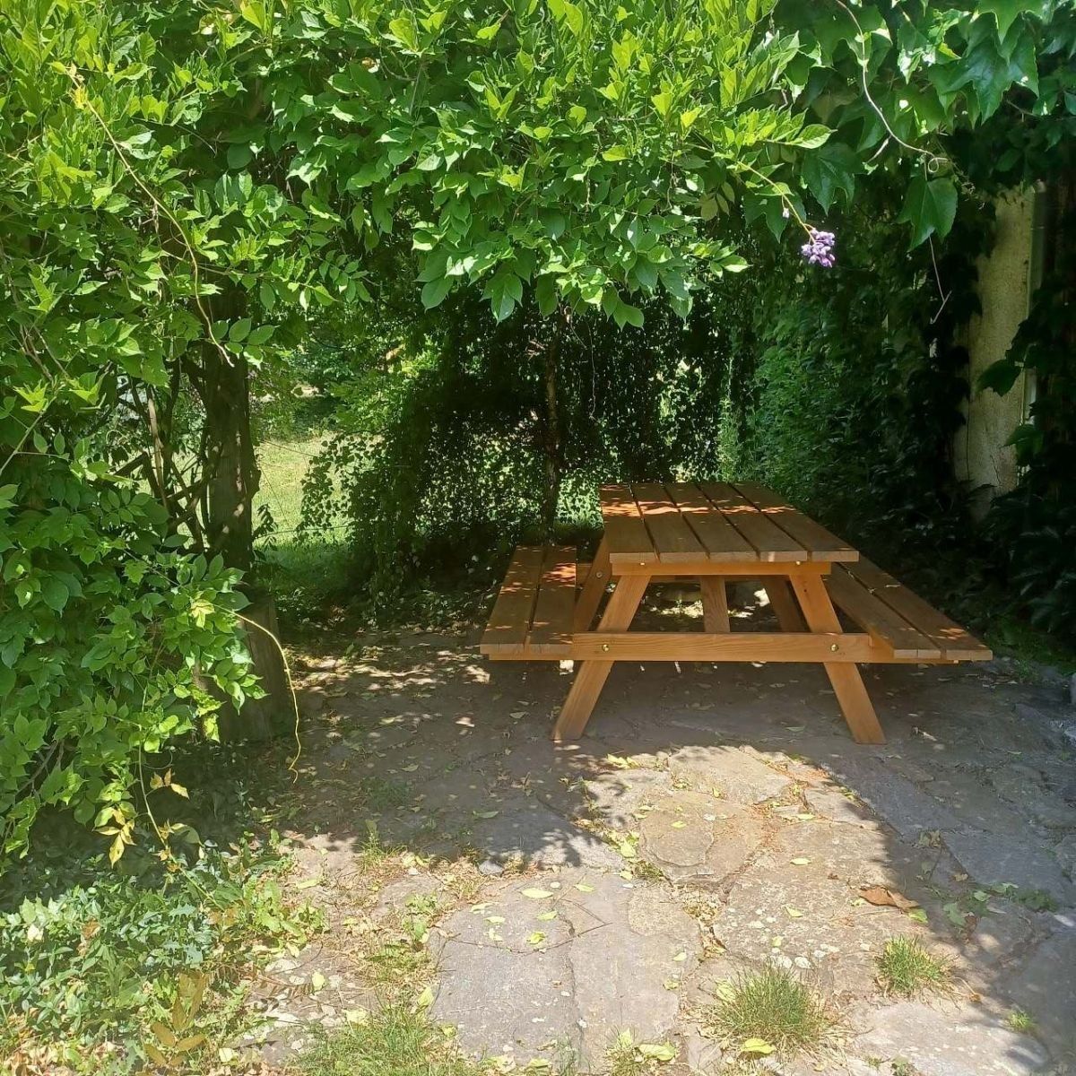Chata · Bítov, Jihomoravský kraj - 3
