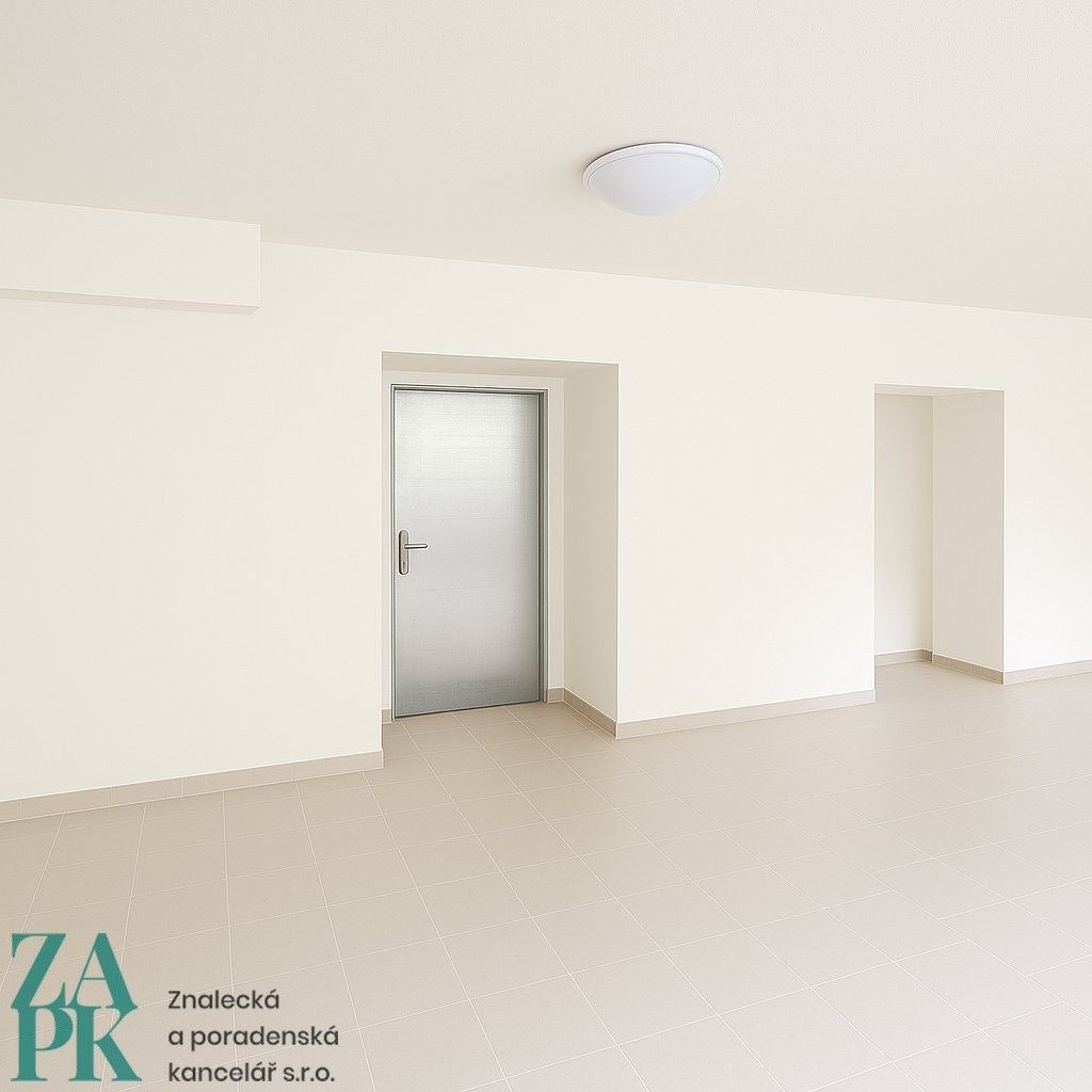 Pronájem komerční - Purkyňova, Ústí nad Labem, 150 m²