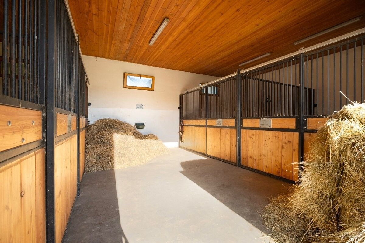 Ostatní, Dětmarovice, 735 71