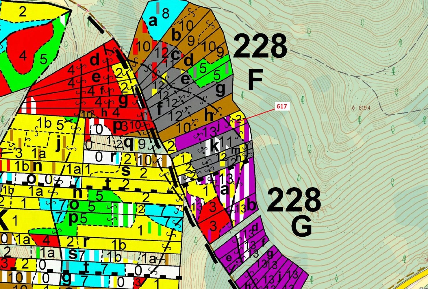 Les · Budětice, okres Klatovy, Plzeňský kraj - 3