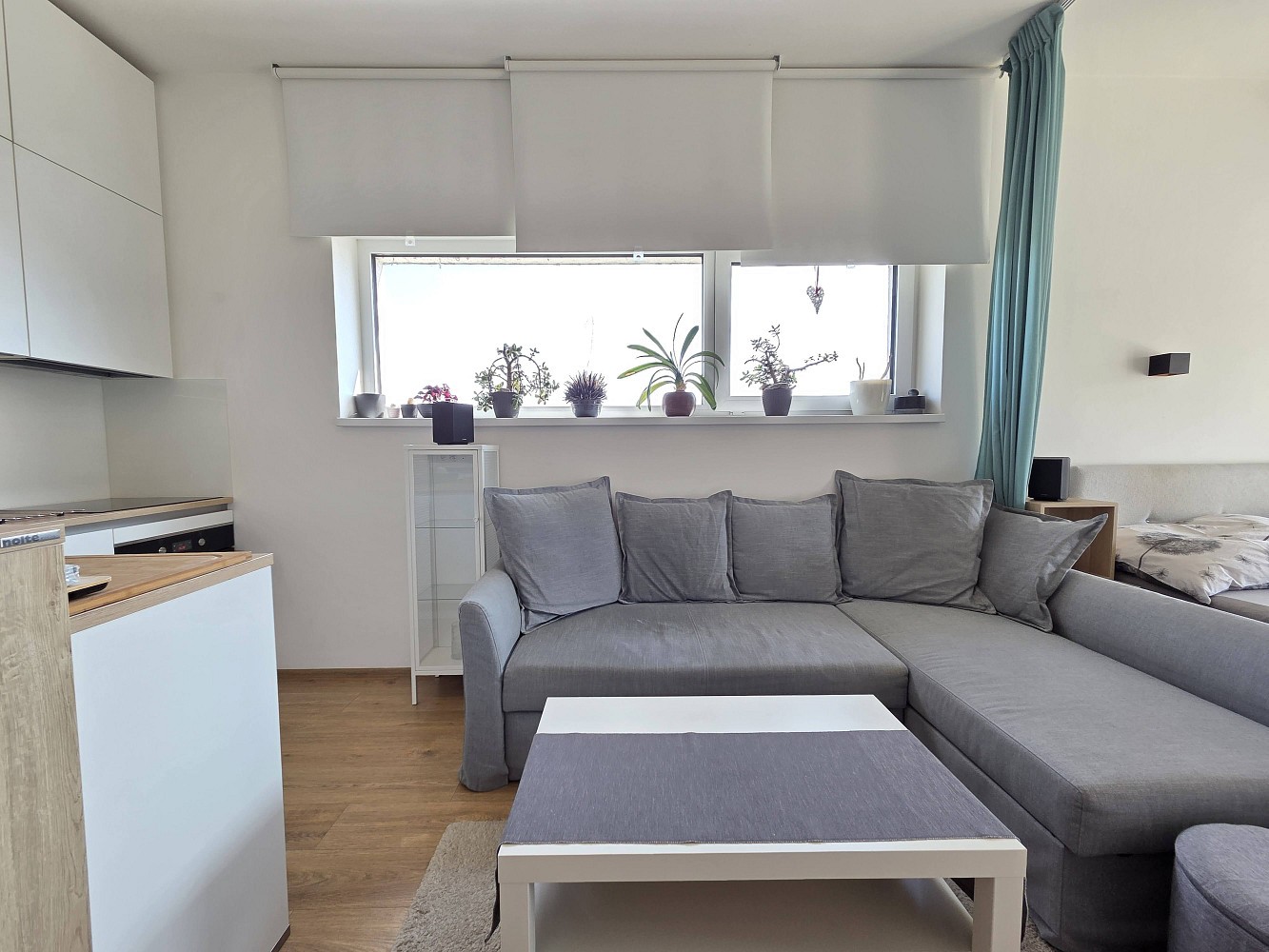 Pronájem byt 1+kk - Švýcarské nábřeží, Olomouc - Nové Sady, 39,2 m² - 2