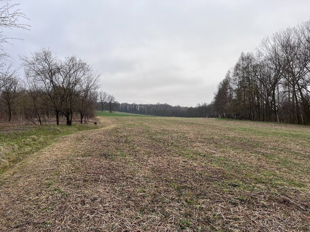 Pozemek pro bydlení · Petřvald u Karviné, 735 41 - 4