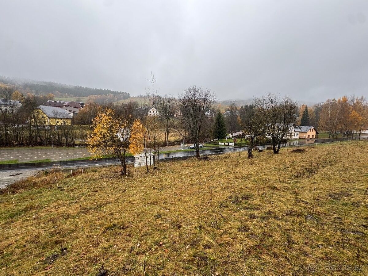 Prodej pozemek pro bydlení - Králíky, 561 69