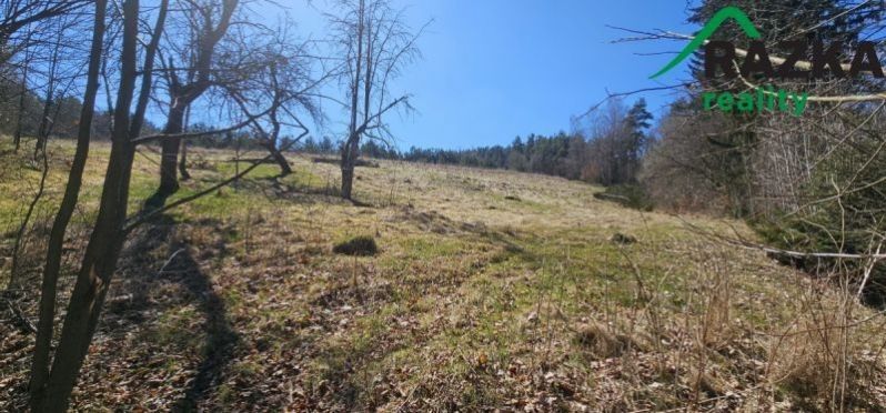 Prodej komerční pozemek - Dlouhý Újezd, 3 343 m²