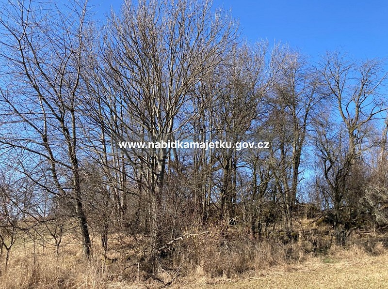 Prodej zemědělský pozemek - Prosetín, okres Chrudim - 2
