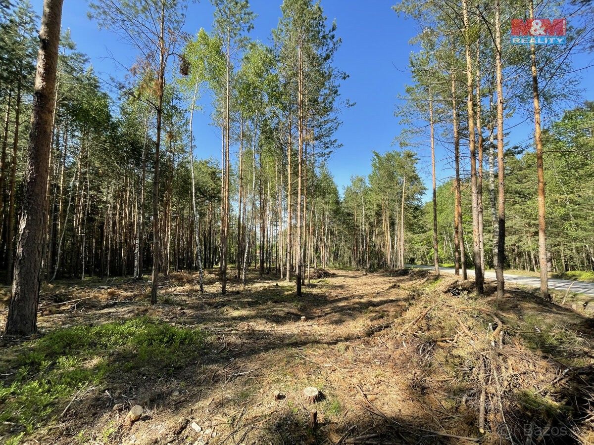 Lesy, Boršov nad Vltavou, 373 82, 6 271 m²