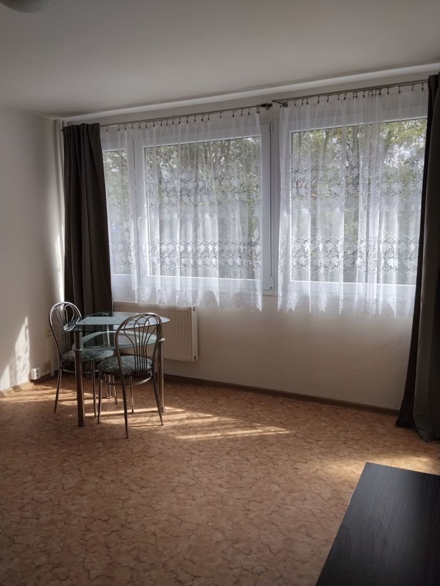 1+1, Polní, Hradec Králové - Slezské Předměstí, Královéhradecký kraj, 27 m² - 2