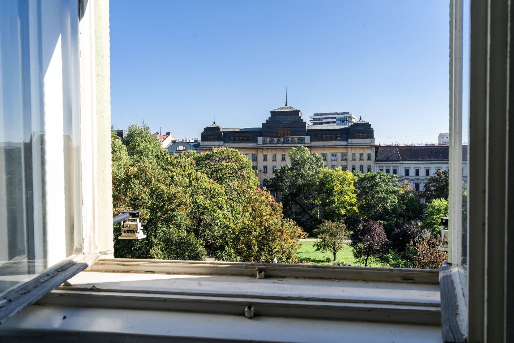 Kancelář · 50 m² · Dvořákova, Brno - Město Brno, Jihomoravský kraj - 3