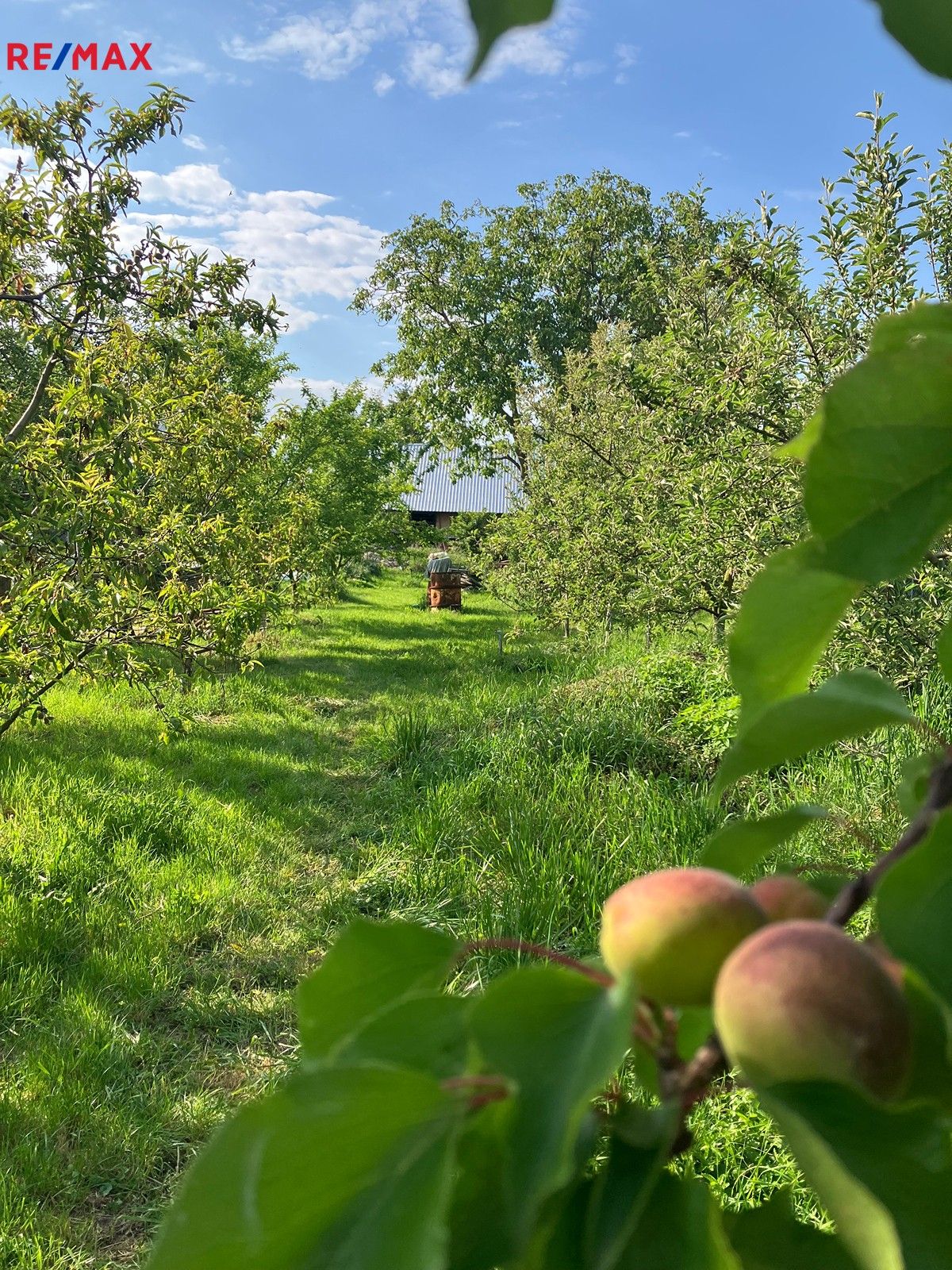 Pozemky pro bydlení, Švestkova, Olomouc, 1 m²