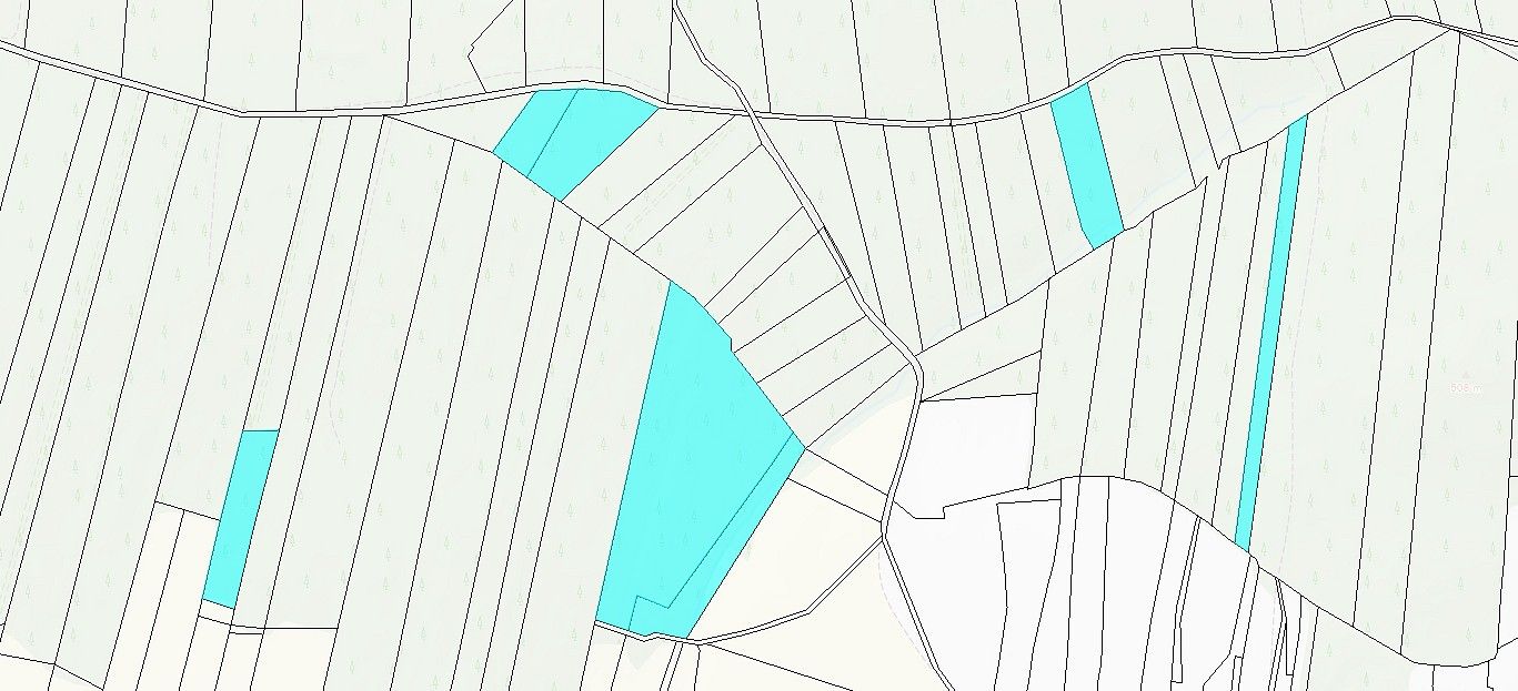 Les · Jetětice, okres Písek, Jihočeský kraj - 3