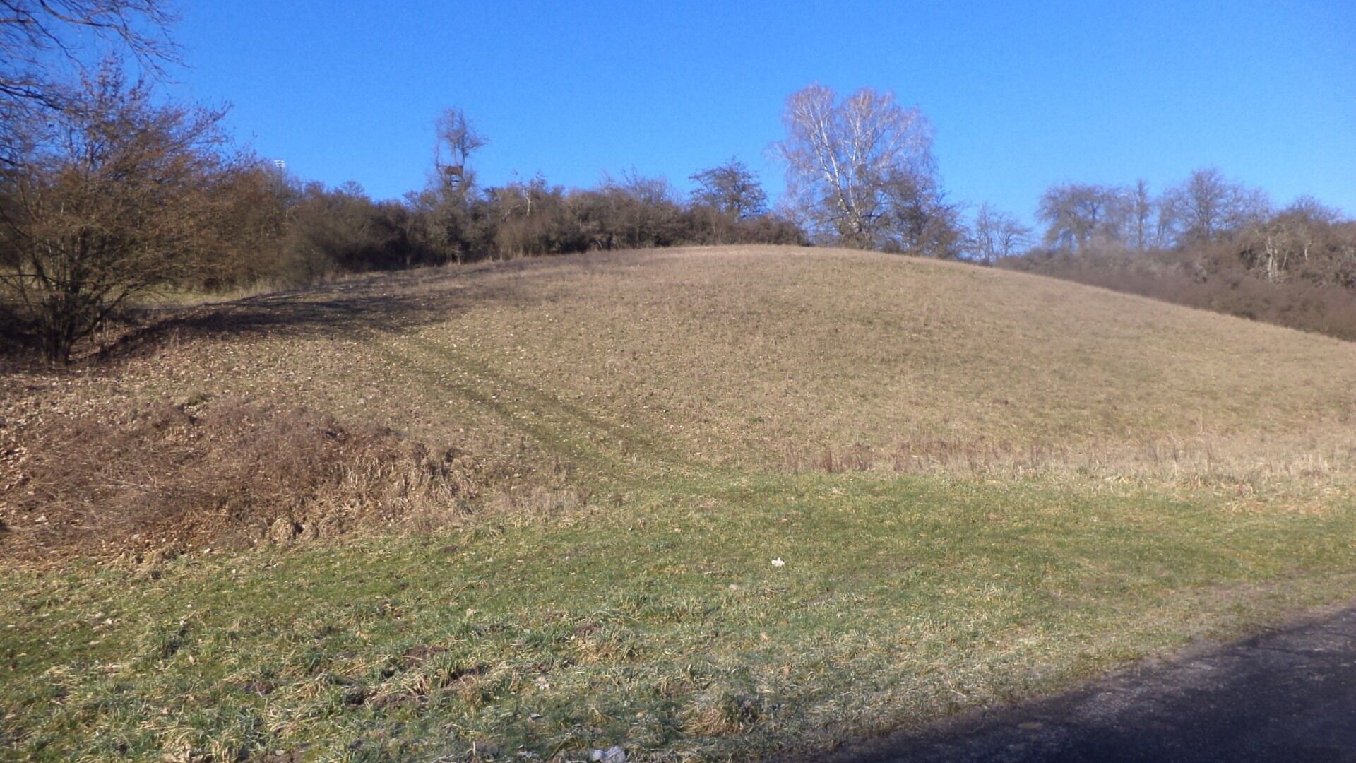 Zemědělské pozemky, Snědovice, 3 880 m² - 1