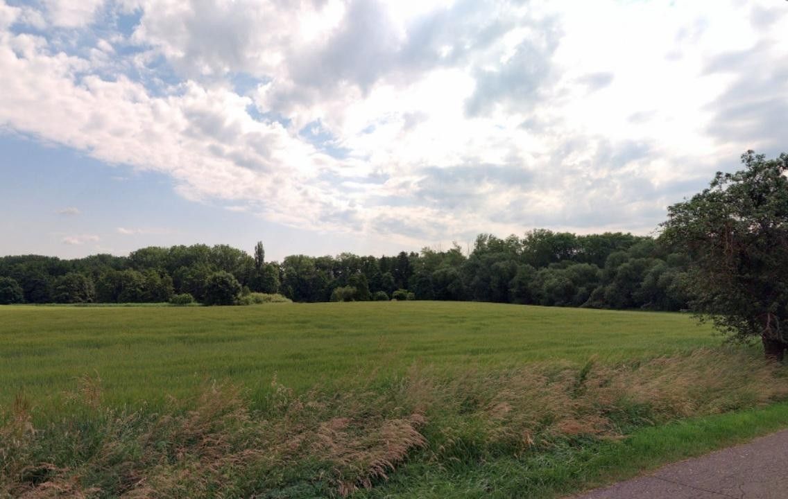 Prodej zemědělský pozemek - Lékořicová, Květnice, 4 623 m² - 5