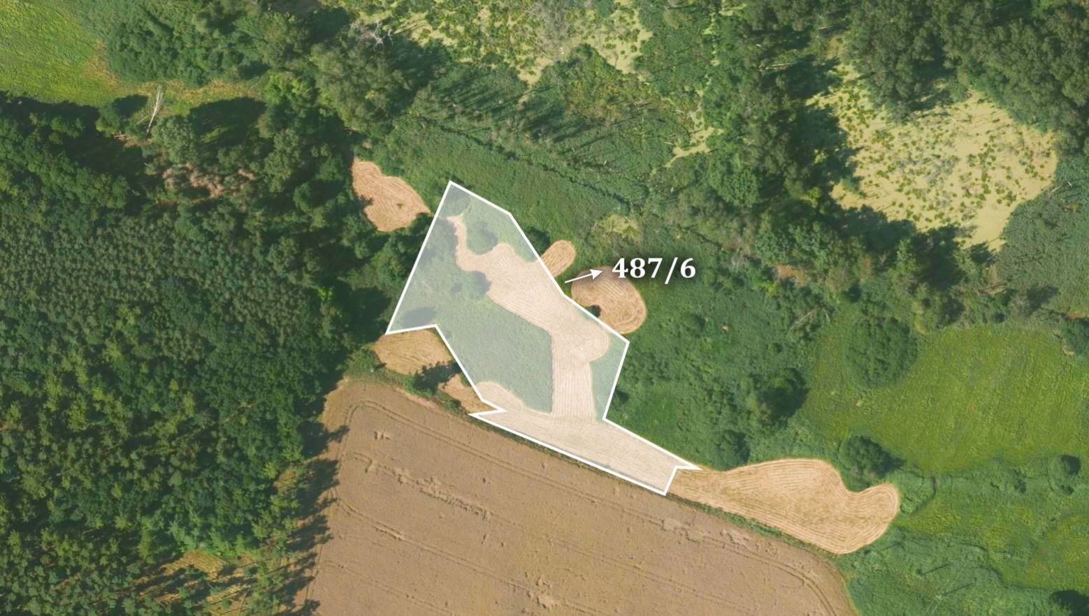 Prodej zemědělský pozemek - Olešná, 14 837 m²