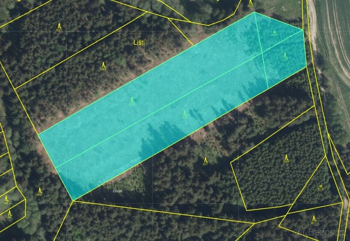 Prodej les - Černovice u Tábora, 394 94, 13 939 m²