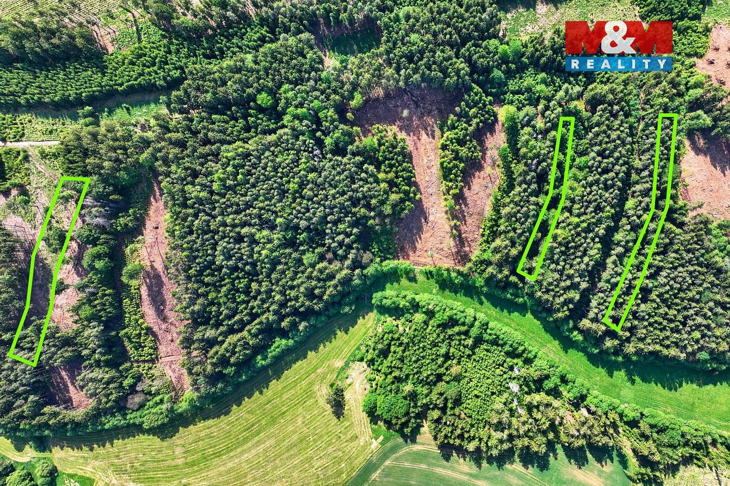 Lesy, Moraveč, okres Pelhřimov, Kraj Vysočina - 2