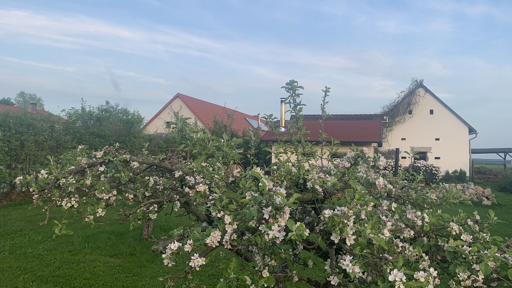 Ostatní, Pluhův Žďár - Jižná, okres Jindřichův Hradec, Jihočeský kraj, 28 792 m² - 1